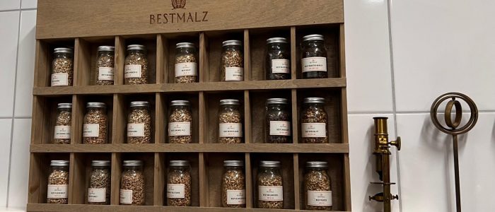 WhatsApp Image 2026-02-26 at 23.03.38